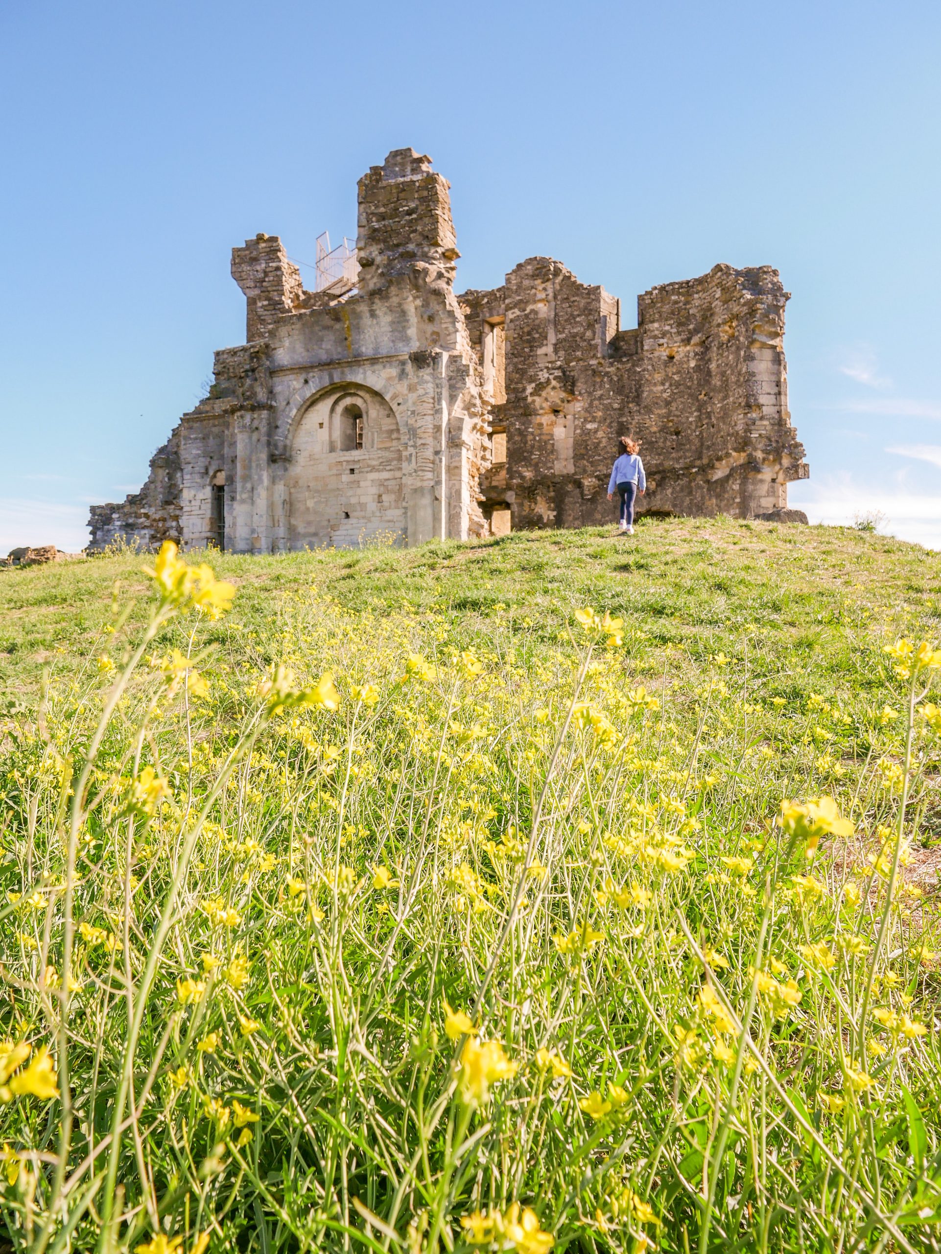 Ruines du château de la Baume-de-Transit - Drôme - France